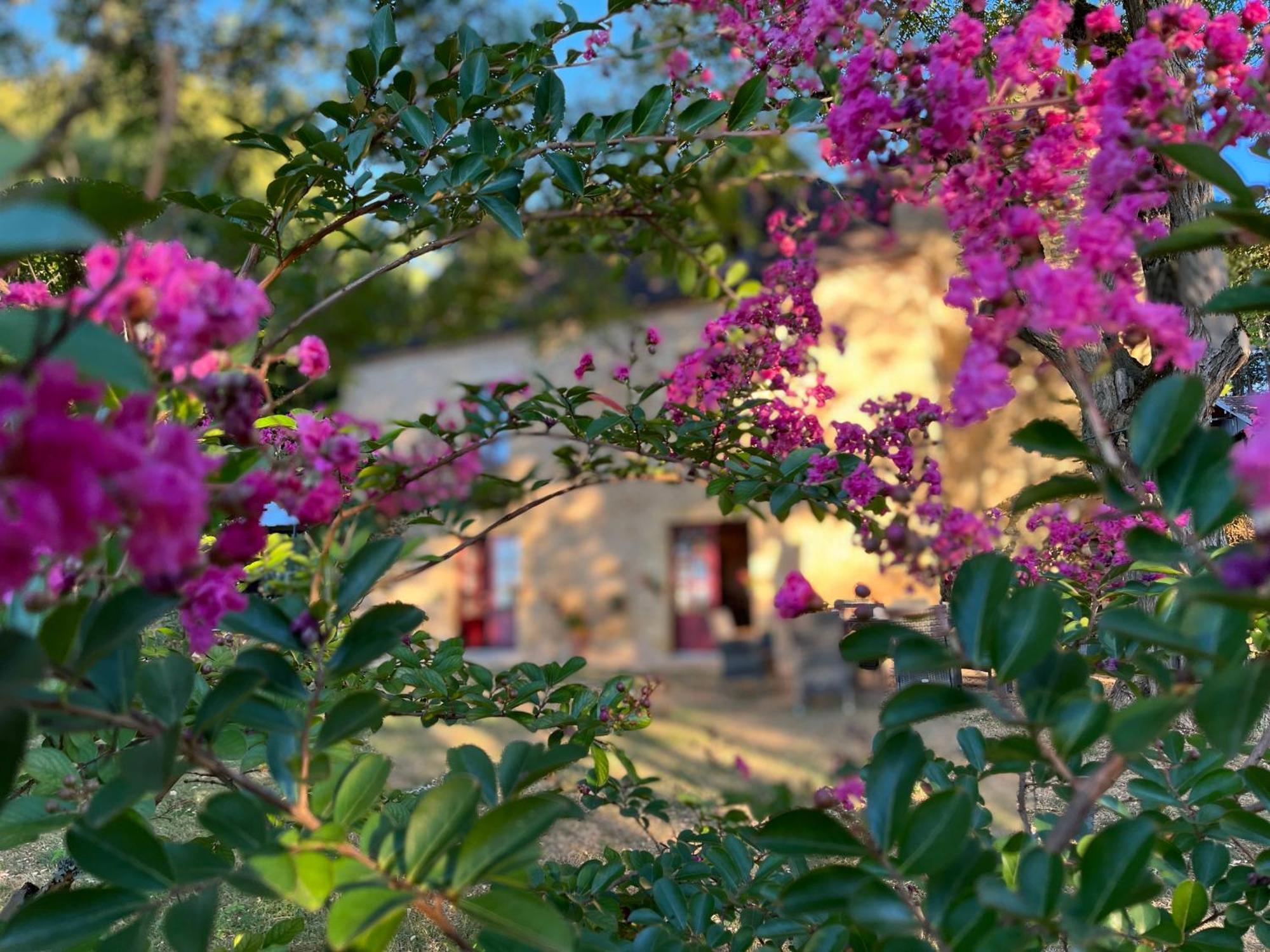 Saint-Alvère Roquebrune מראה חיצוני תמונה